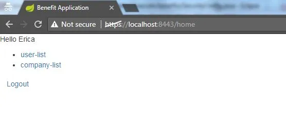 Using Spring Security in web application - admin screen