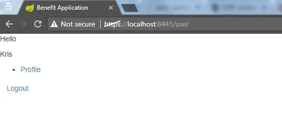 Using Spring Security - User Screen